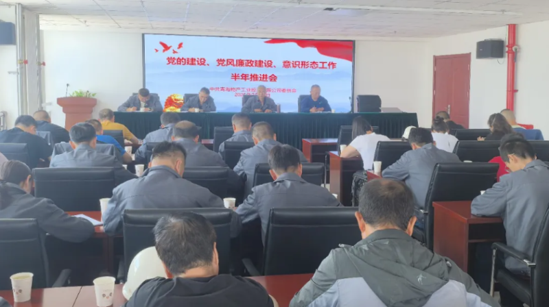 工投公司黨委召開黨的建設、黨風廉政建設、意識形態(tài)工作半年推進會